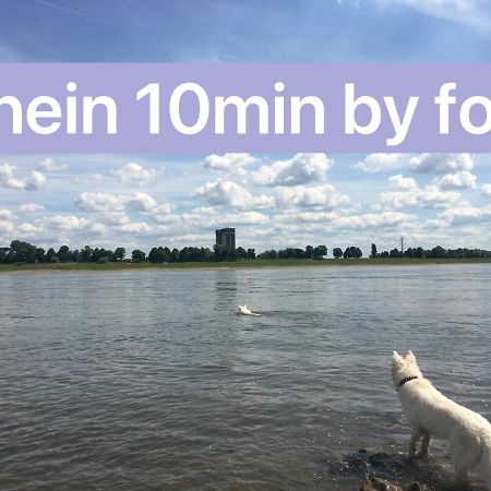 Igo Apartment 2 Schlafenzimmer Mit Waschmaschine Trockner Haustier Rheinufer 5Min Netflix Disney Plus 17-6 Duisburg Luaran gambar